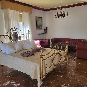 Suite superior